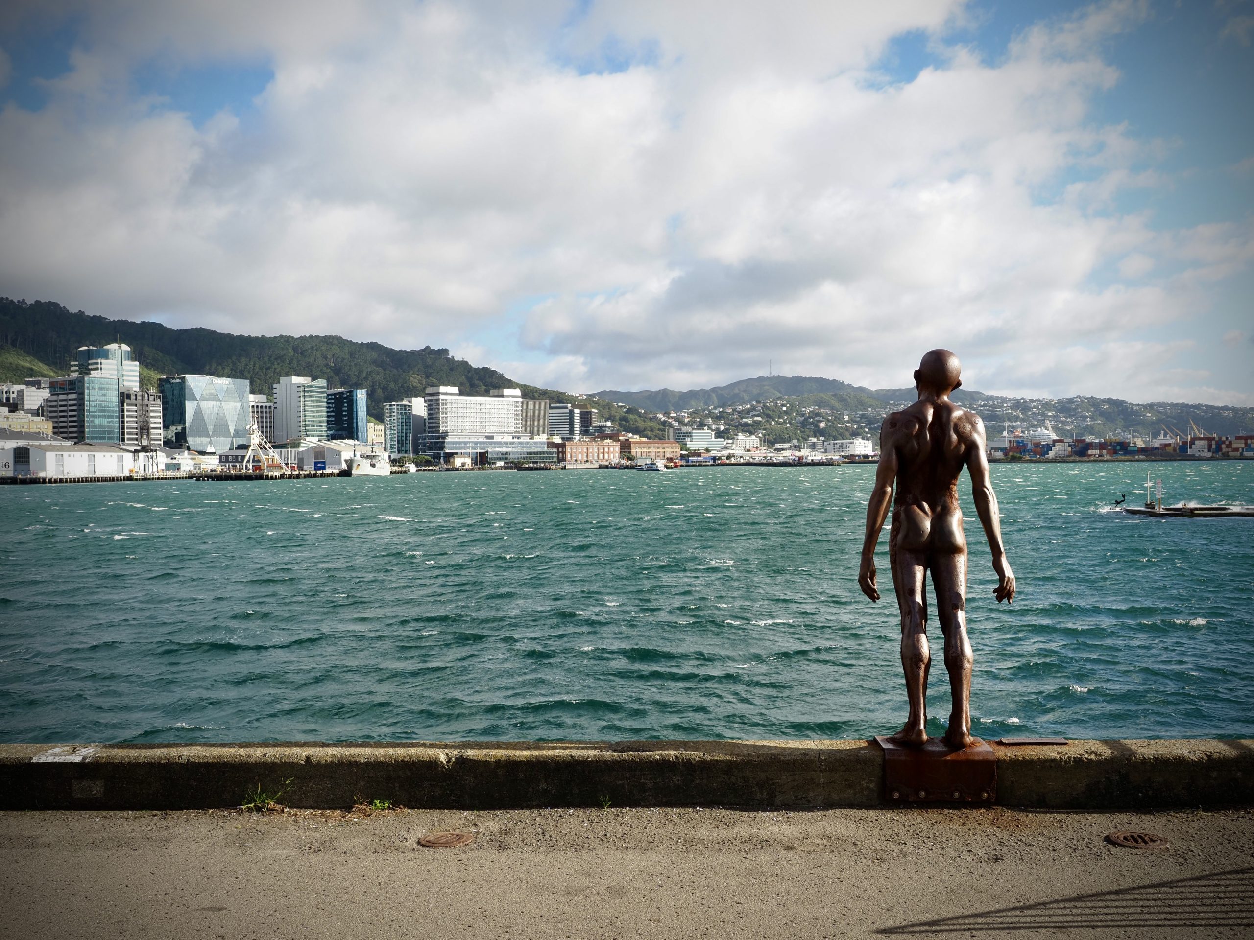 Cycling New Zealand: The North Island